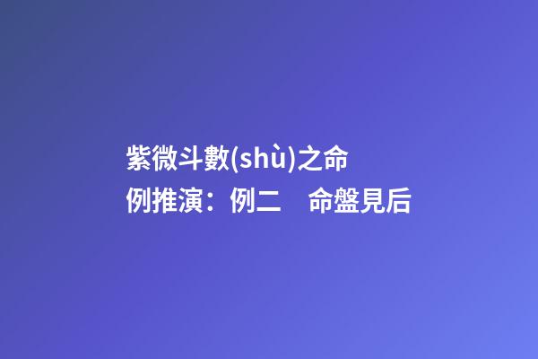 紫微斗數(shù)之命例推演：例二　命盤見后